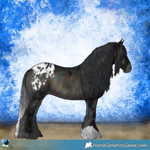 Horse Color:Midnight Brown Ice Onyx Appaloosa Rabicano 