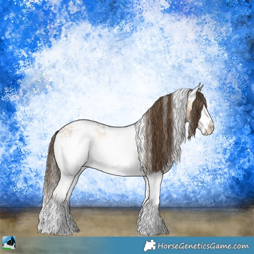 Horse Color:White Spotted Buckskin Ice Pearl Onyx Appaloosa Rabicano 