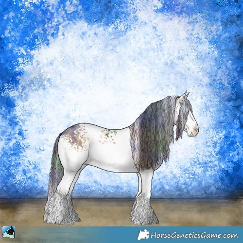 Horse Color:Nacre White Spotted Buckskin Onyx Appaloosa Rabicano 