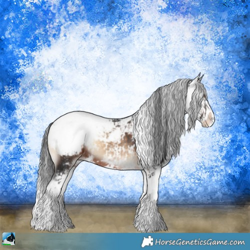Horse Color:Brown Onyx Sabino Appaloosa Rabicano 