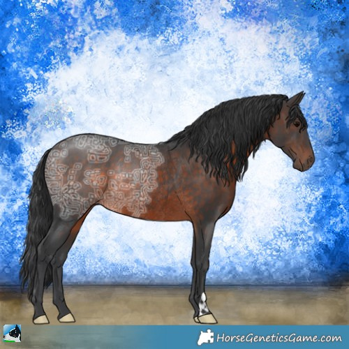 Horse Color:Brown Ice Rabicano 