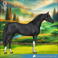 Horse Color:Black Tobiano 