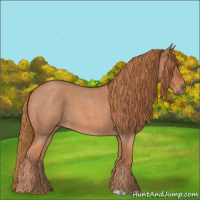 Horse Color:Red Roan 