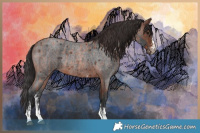 Horse Color:Bay Roan Sabino Rabicano  and Brown Roan Sabino Rabicano 