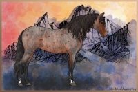 Horse Color:Bay Roan Sabino Rabicano  and Brown Roan Sabino Rabicano 