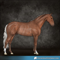 Horse Color:Silver Black Rabicano 