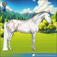 Horse Color:White Spotted Silver Sable Champagne Splash Appaloosa Rabicano