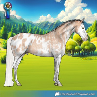 Horse Color:White Spotted Silver Sable Champagne Splash Blanket Rabicano
