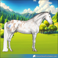 Horse Color:White Spotted Silver Sable Champagne Splash Appaloosa Rabicano 