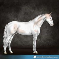 Horse Color:Silver Sable Champagne Dun Splash Tobiano Rabicano