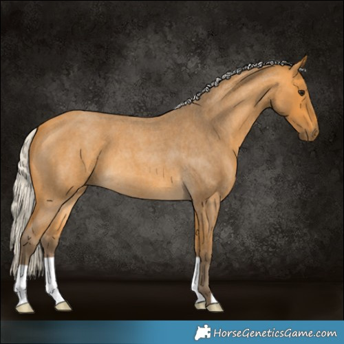 Horse Color:Silver Buckskin Roan