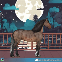 Horse Color:Brown Dun Sabino Brindle