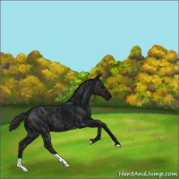 Horse Color:Midnight Black Ice 