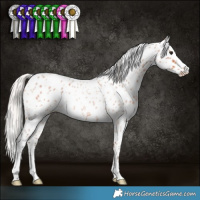 Horse Color:Silver Bay Roan Leopard Rabicano 