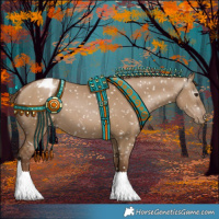 Horse Color:Gray Grullo Pearl Appaloosa 