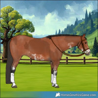 Horse Color:Bay Sabino Tobiano Rabicano  and Bay Sabino Rabicano 