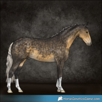 Horse Color:Silver Smoky Black 