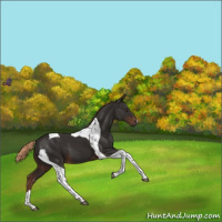 Horse Color:Liver Chestnut Tobiano 