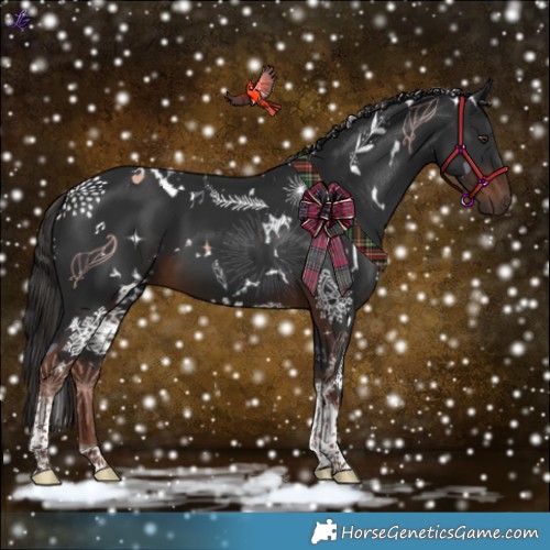 Horse Color:White Spotted Liver Chestnut Tobiano 