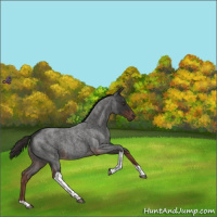 Horse Color:Liver Red Roan Tobiano 