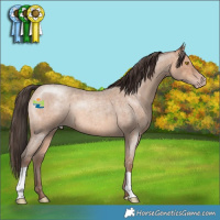 Horse Color:Sable Champagne Roan