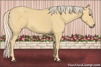 Horse Color:Palomino Frame 