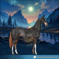 Horse Color:Liver Chestnut Sabino Rabicano  and Liver Chestnut Sabino Rabicano 