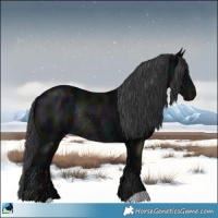Horse Color:Midnight Black Rabicano 