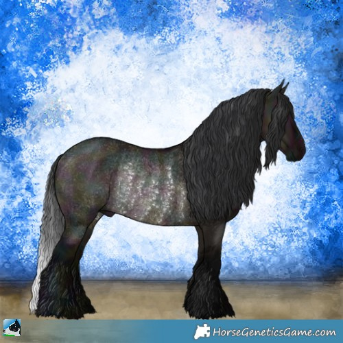 Horse Color:Midnight Brown Ice Dun Rabicano 