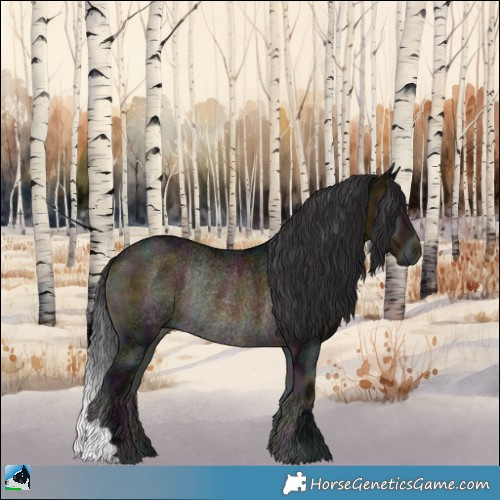 Horse Color:Midnight Buckskin Ice Onyx Rabicano 