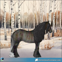Horse Color:Midnight Buckskin Ice Onyx Rabicano