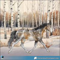 Horse Color:White Spotted Buckskin 