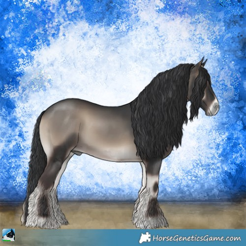 Horse Color:Blue Onyx 