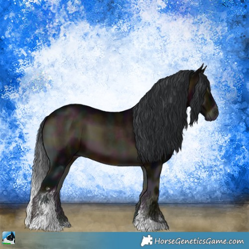 Horse Color:Midnight Brown Onyx Sabino 
