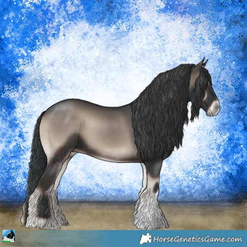 Horse Color:Blue Onyx 