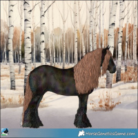 Horse Color:Midnight Liver Red Onyx Ice Rabicano