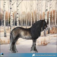 Horse Color:Brown Ice Onyx Rabicano 