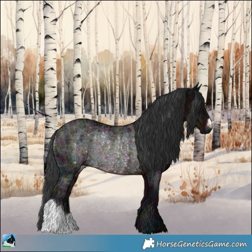 Horse Color:Midnight Brown Ice Rabicano 