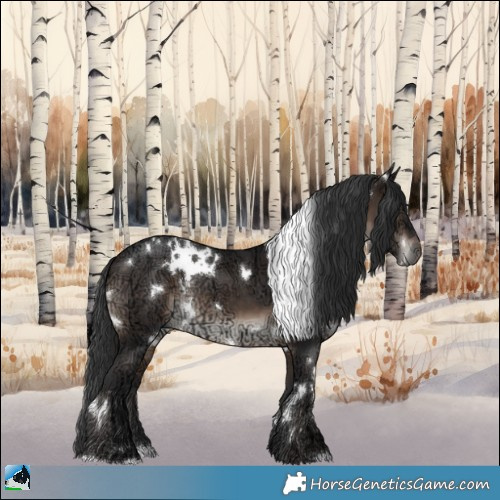 Horse Color:White Spotted Brown Ice Rabicano