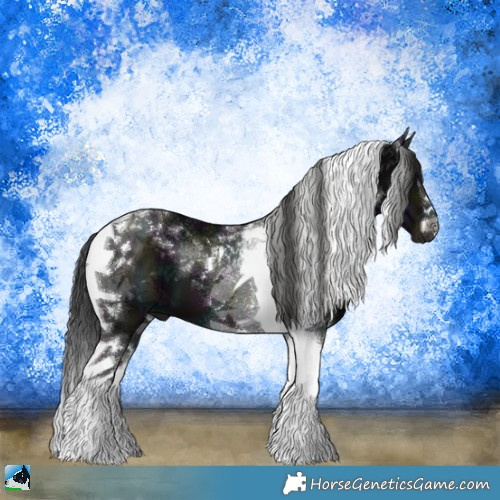 Horse Color:Gray Midnight Smoky Black Tobiano 