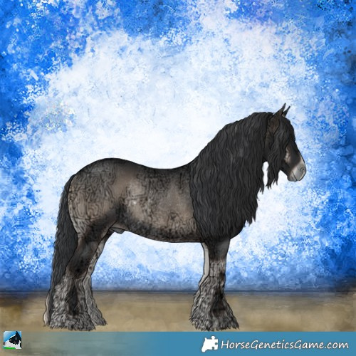 Horse Color:Blue Onyx Ice Rabicano 