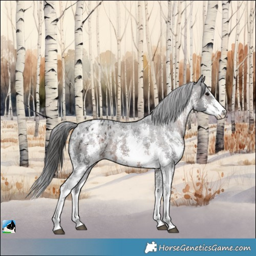 Horse Color:Brown Sabino Appaloosa