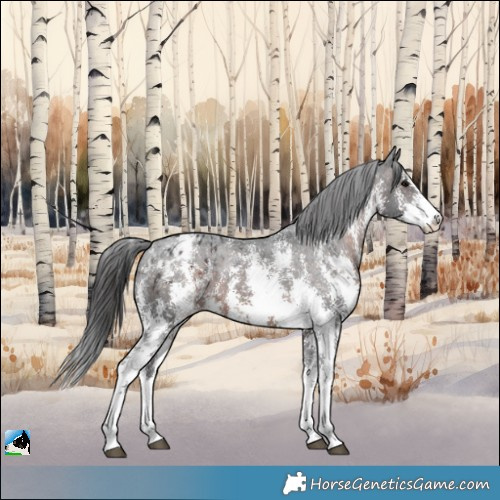 Horse Color:Brown Sabino Appaloosa 