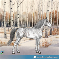 Horse Color:Brown Sabino Appaloosa 