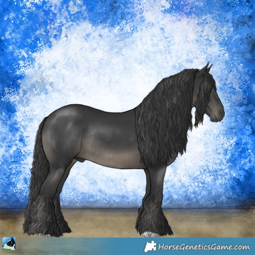 Horse Color:Black Rabicano 