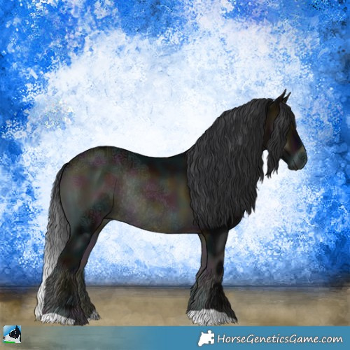 Horse Color:Midnight Brown Ice Onyx Rabicano 