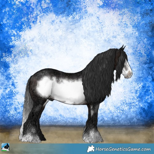 Horse Color:Brown Ice Sabino Frame Rabicano 