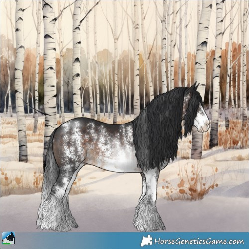 Horse Color:Brown Sabino Rabicano