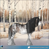 Horse Color:Brown Sabino Rabicano 