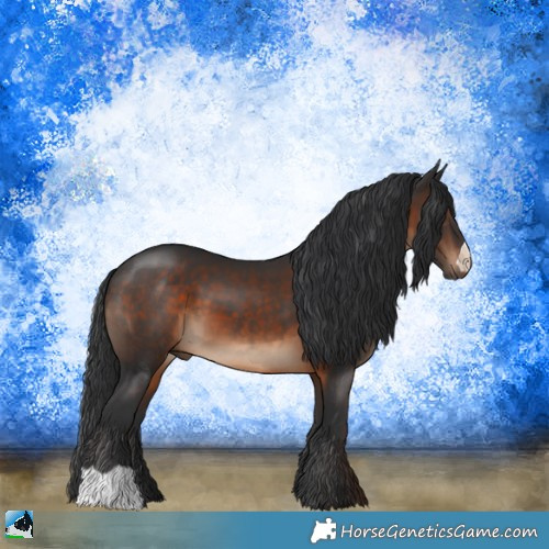 Horse Color:Brown 